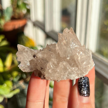 Dogtooth Calcite Cluster
