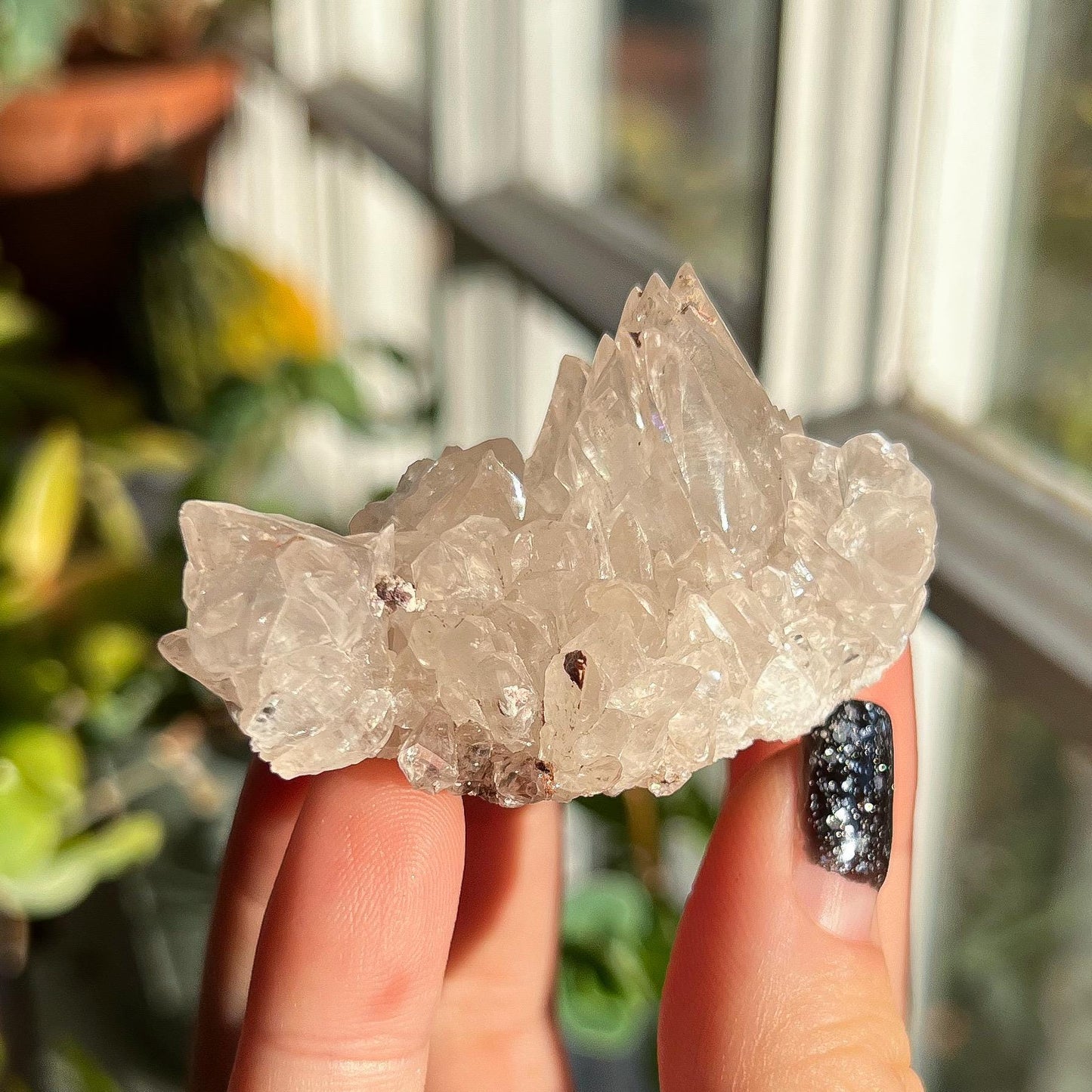 Dogtooth Calcite Cluster