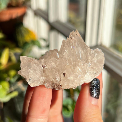 Dogtooth Calcite Cluster