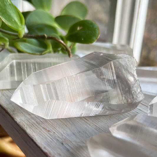 Lemurian Quartz