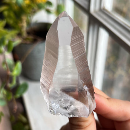 Lemurian Quartz