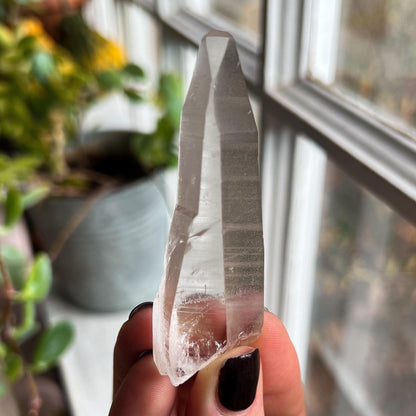 Lemurian Quartz