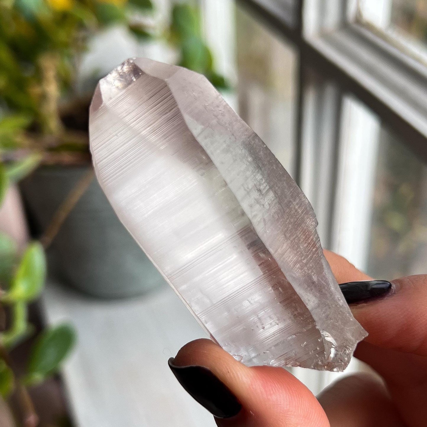 Lemurian Quartz