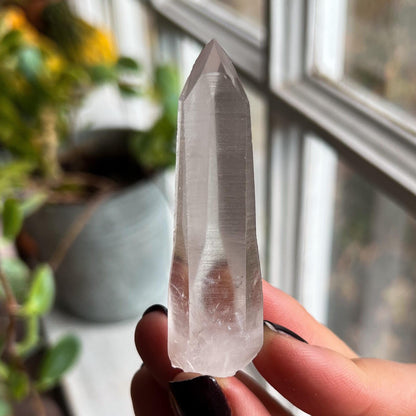 Lemurian Quartz
