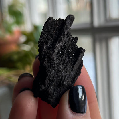 Druzy Fossilized Wood