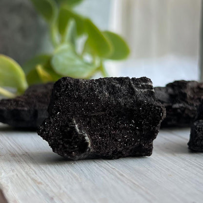 Druzy Fossilized Wood