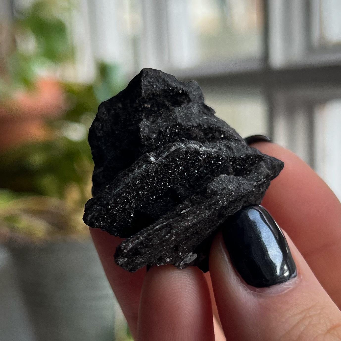 Druzy Fossilized Wood