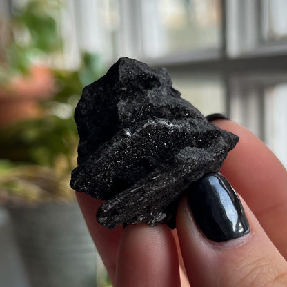 Druzy Fossilized Wood