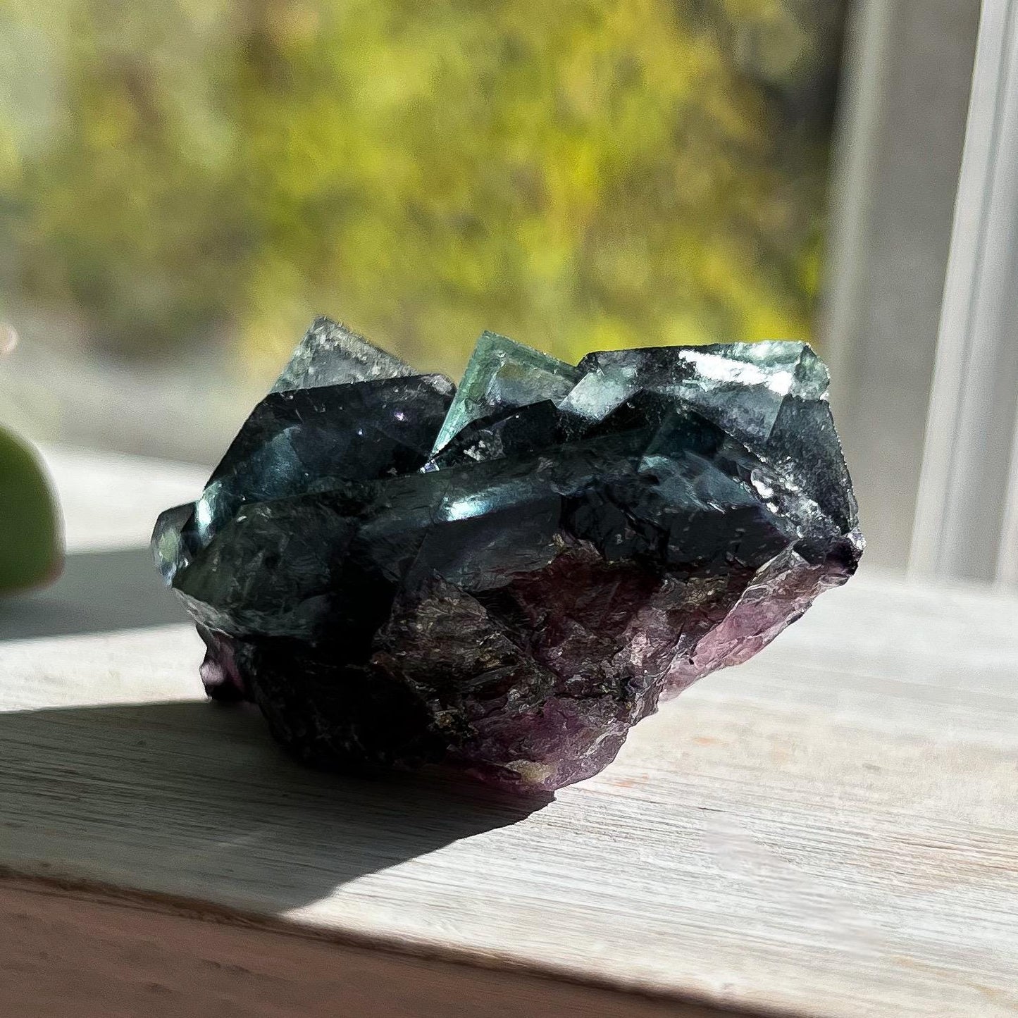 Fairy Holes Pocket Fluorite