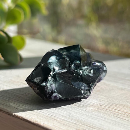 Fairy Holes Pocket Fluorite