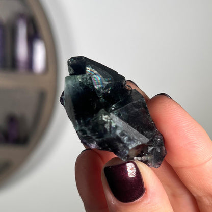 Fairy Holes Pocket Fluorite