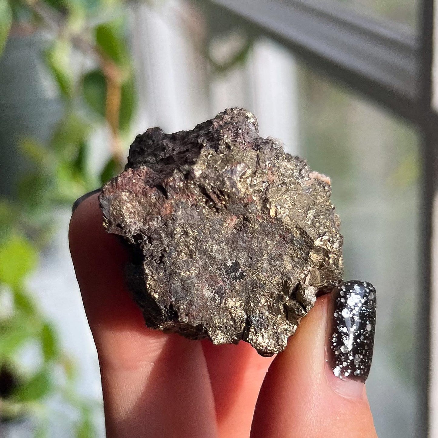 Pyrite Iron Nodule