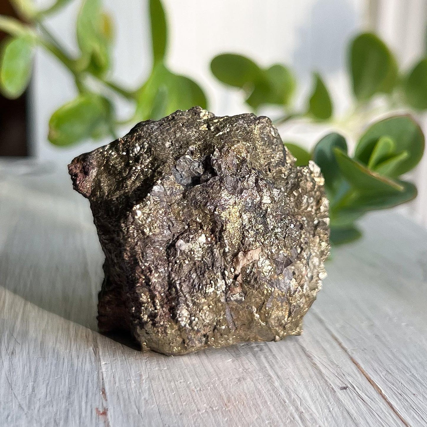 Pyrite Iron Nodule