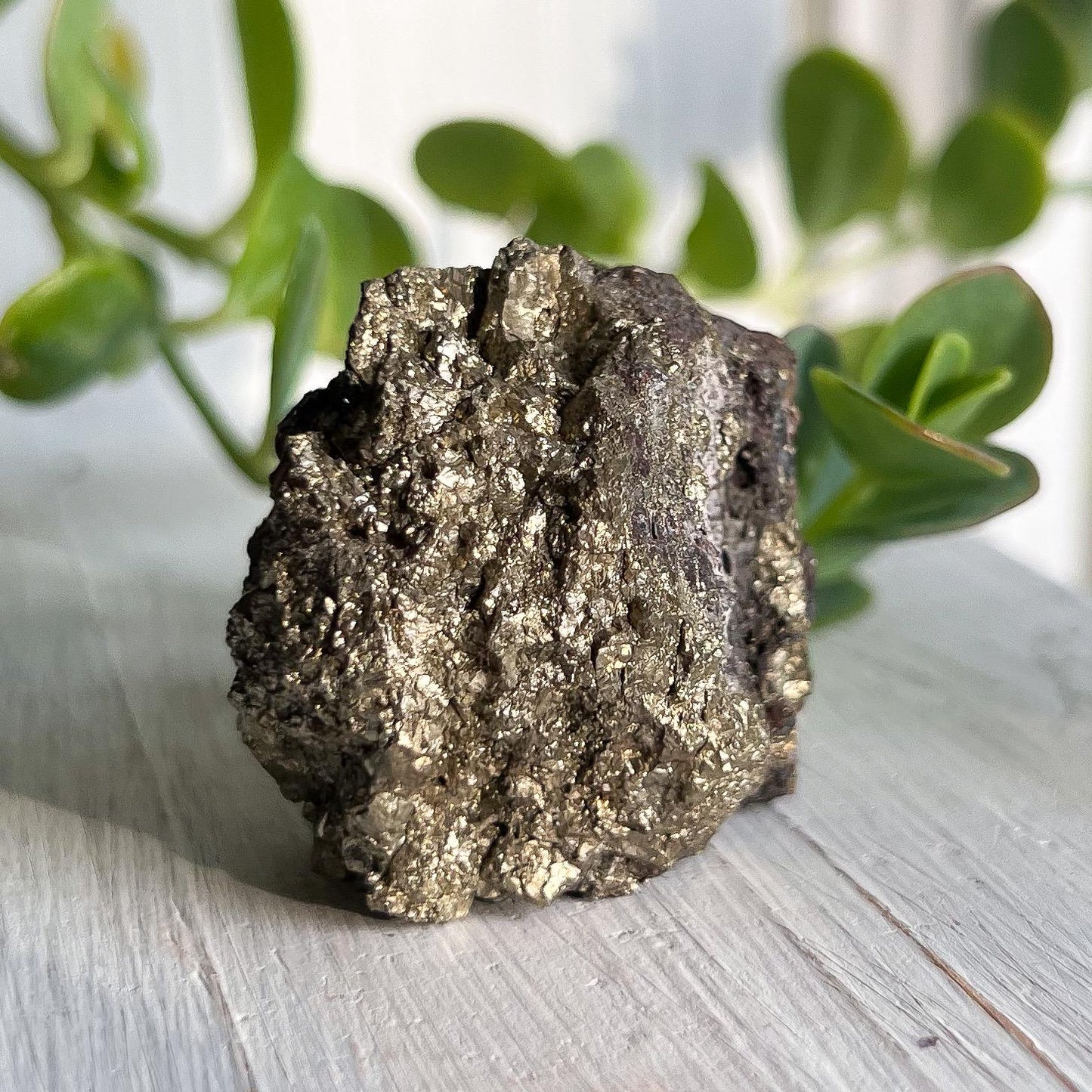Pyrite Iron Nodule