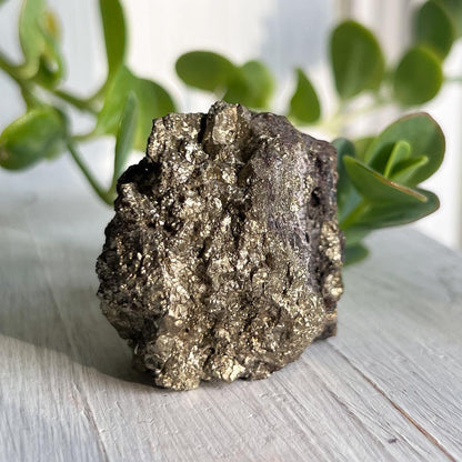 Pyrite Iron Nodule