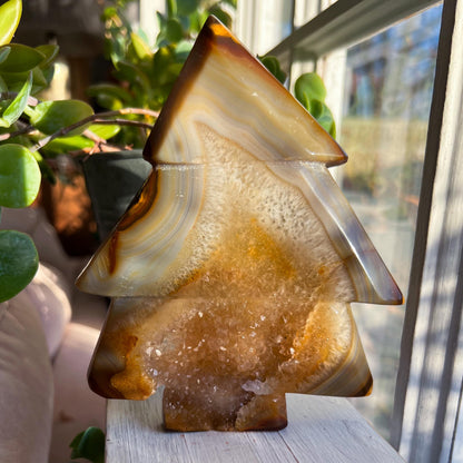Agate Pine Tree