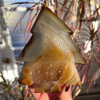 Agate Pine Tree