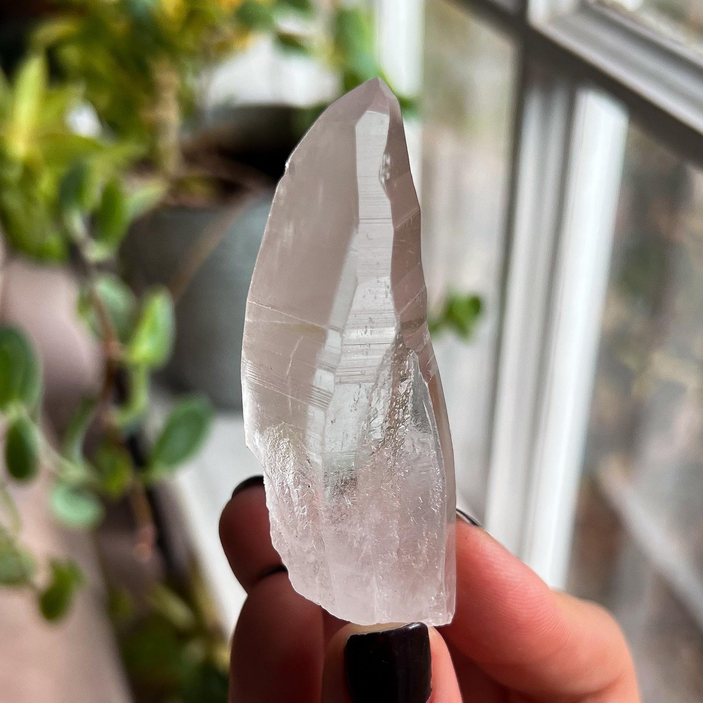 Lemurian Quartz
