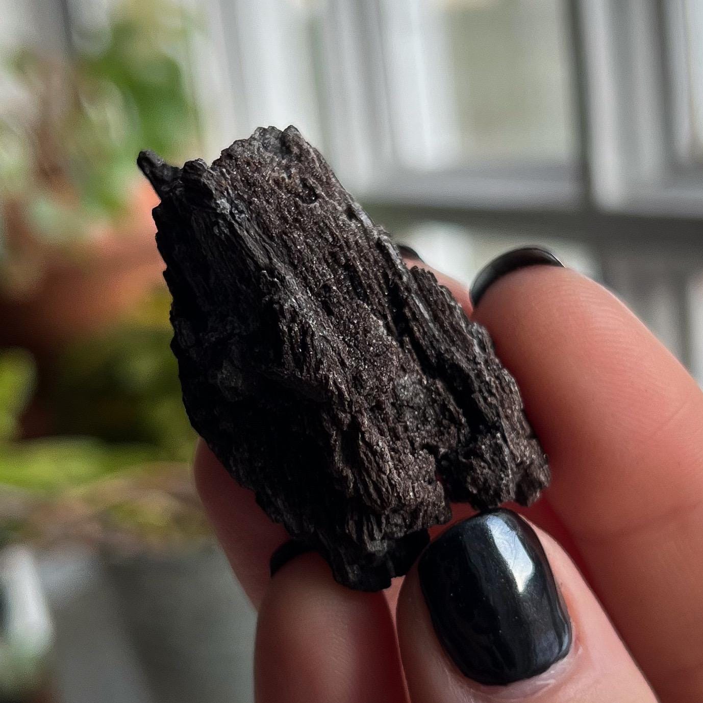 Druzy Fossilized Wood