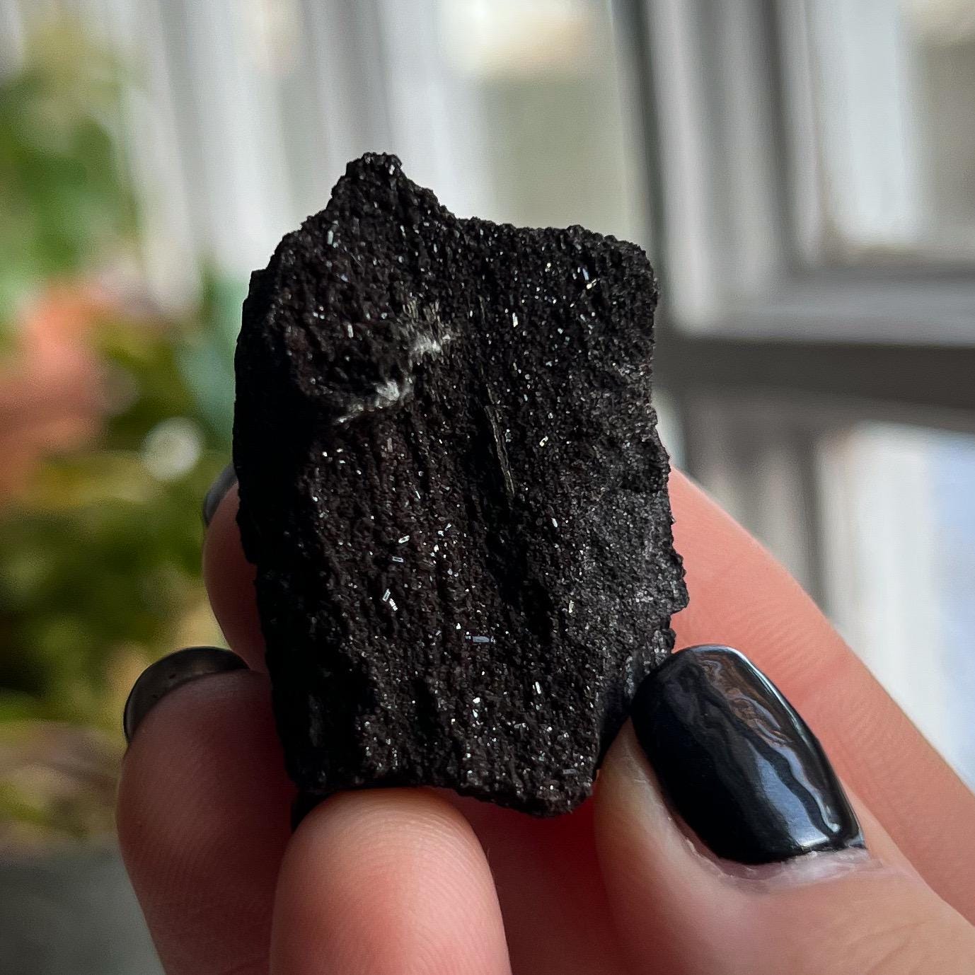 Druzy Fossilized Wood
