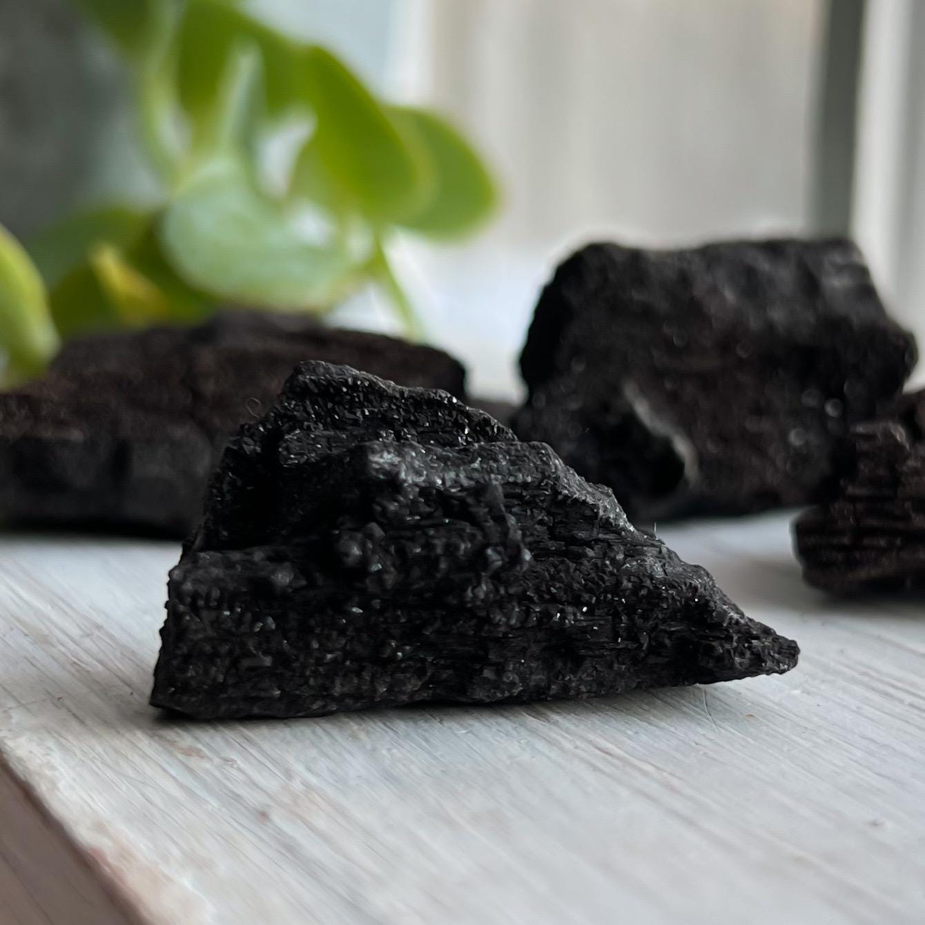 Druzy Fossilized Wood