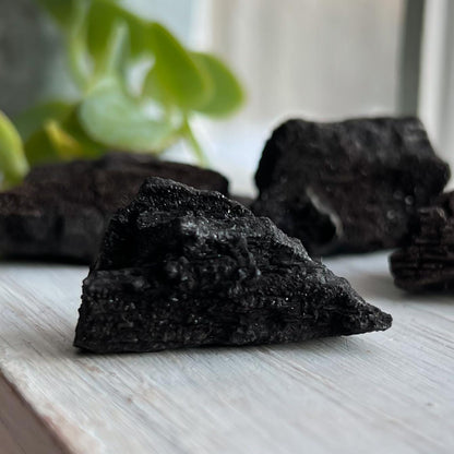 Druzy Fossilized Wood