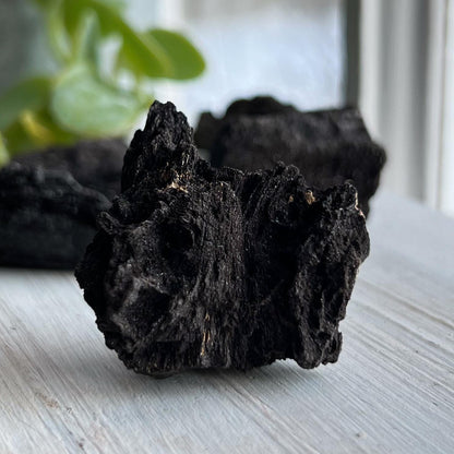 Druzy Fossilized Wood