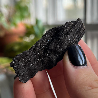 Druzy Fossilized Wood