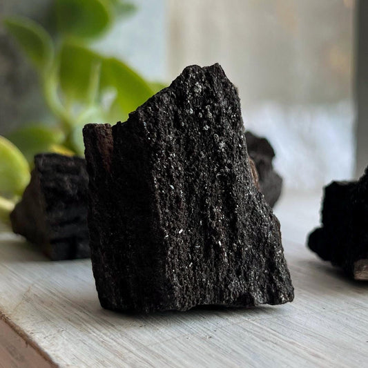 Druzy Fossilized Wood