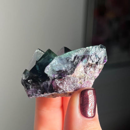 Fairy Holes Pocket Fluorite