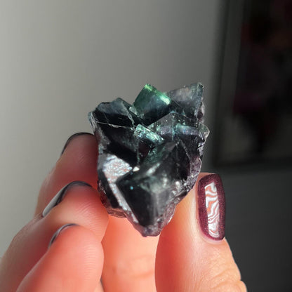 Fairy Holes Pocket Fluorite
