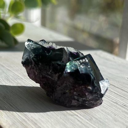 Fairy Holes Pocket Fluorite