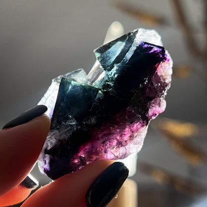 Fairy Holes Pocket Fluorite