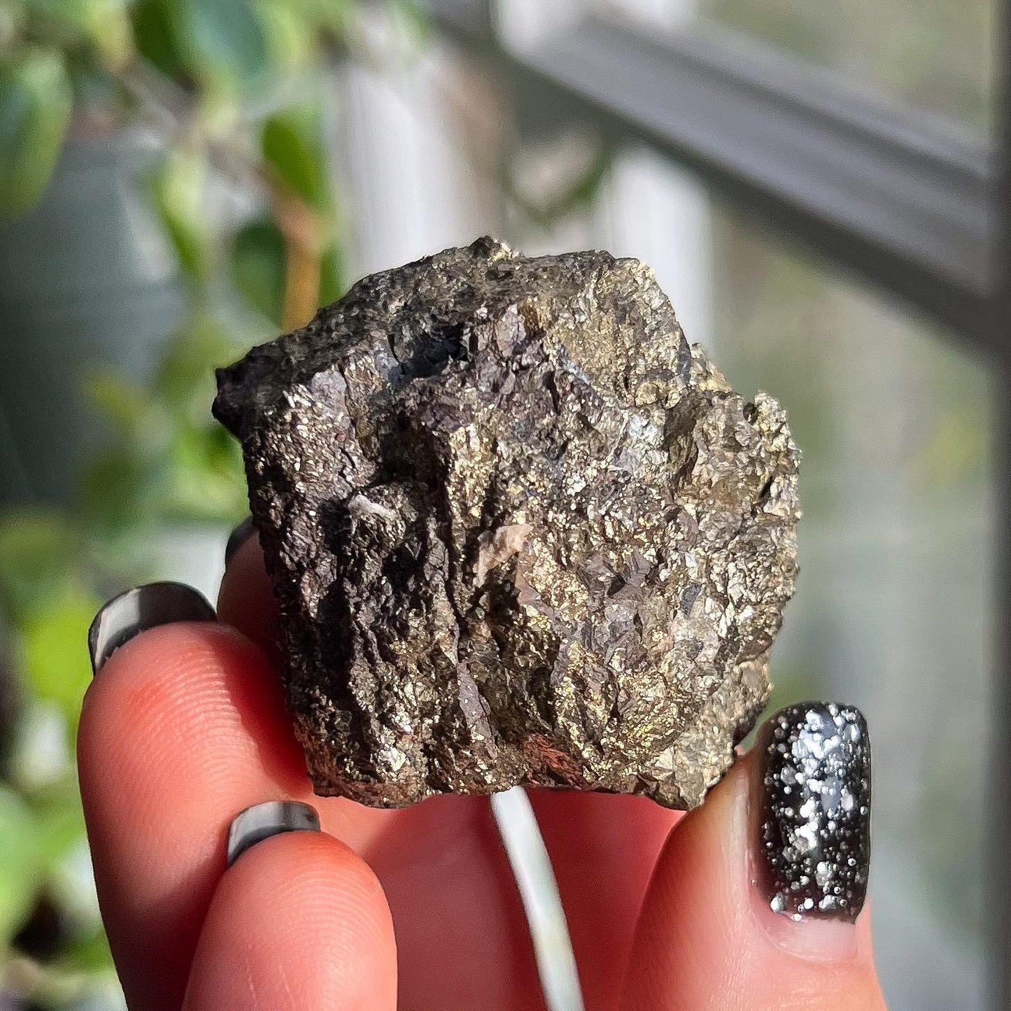 Pyrite Iron Nodule