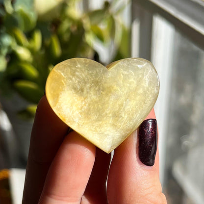 Yellow Muscovite Hearts