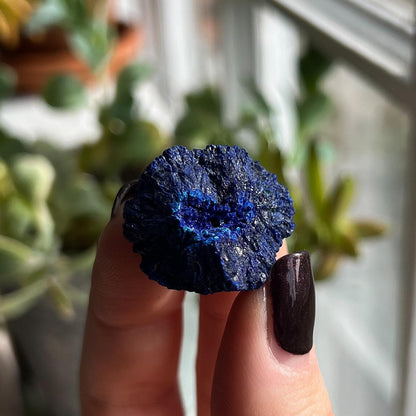 Azurite Blueberry 14g Geode