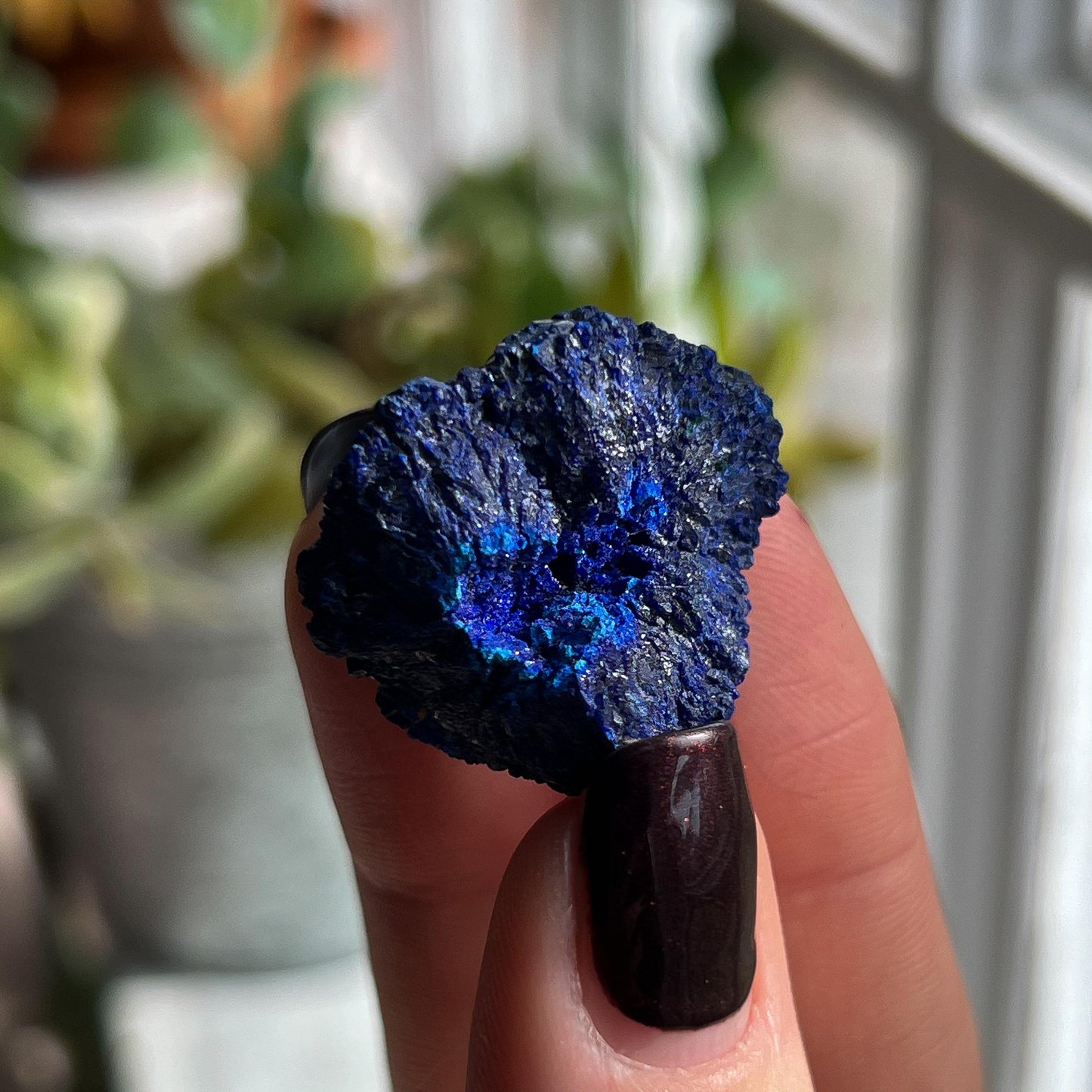 Azurite Blueberry 14g Geode
