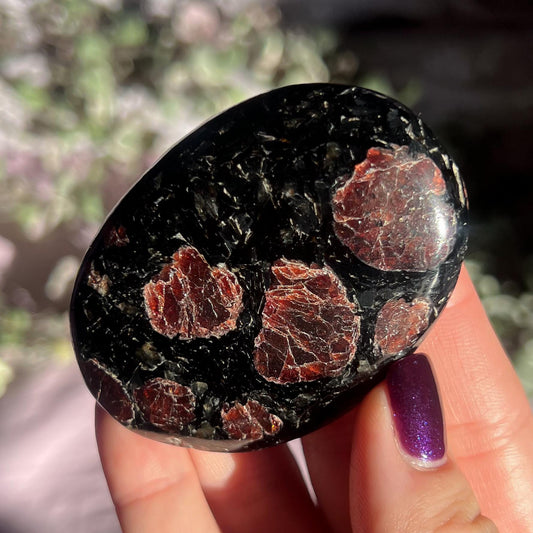 Garnet Mica Palm Stone