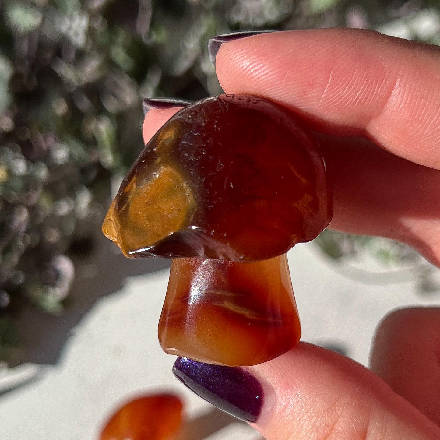 Carnelian Mushroom