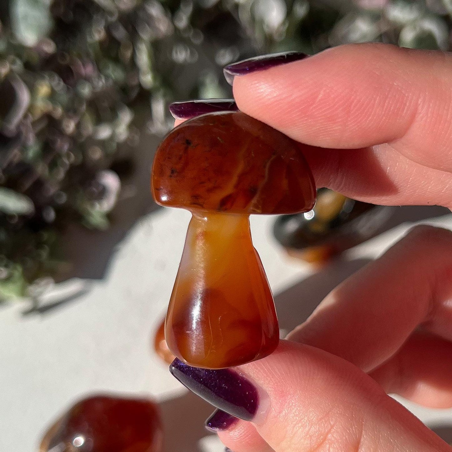 Carnelian Mushroom