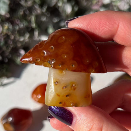 Carnelian Mushroom