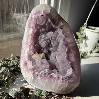 4lb Sugar Druzy Amethyst Calcite