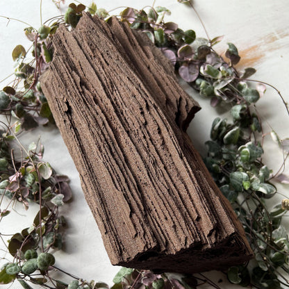 Permineralized Wood from Germany