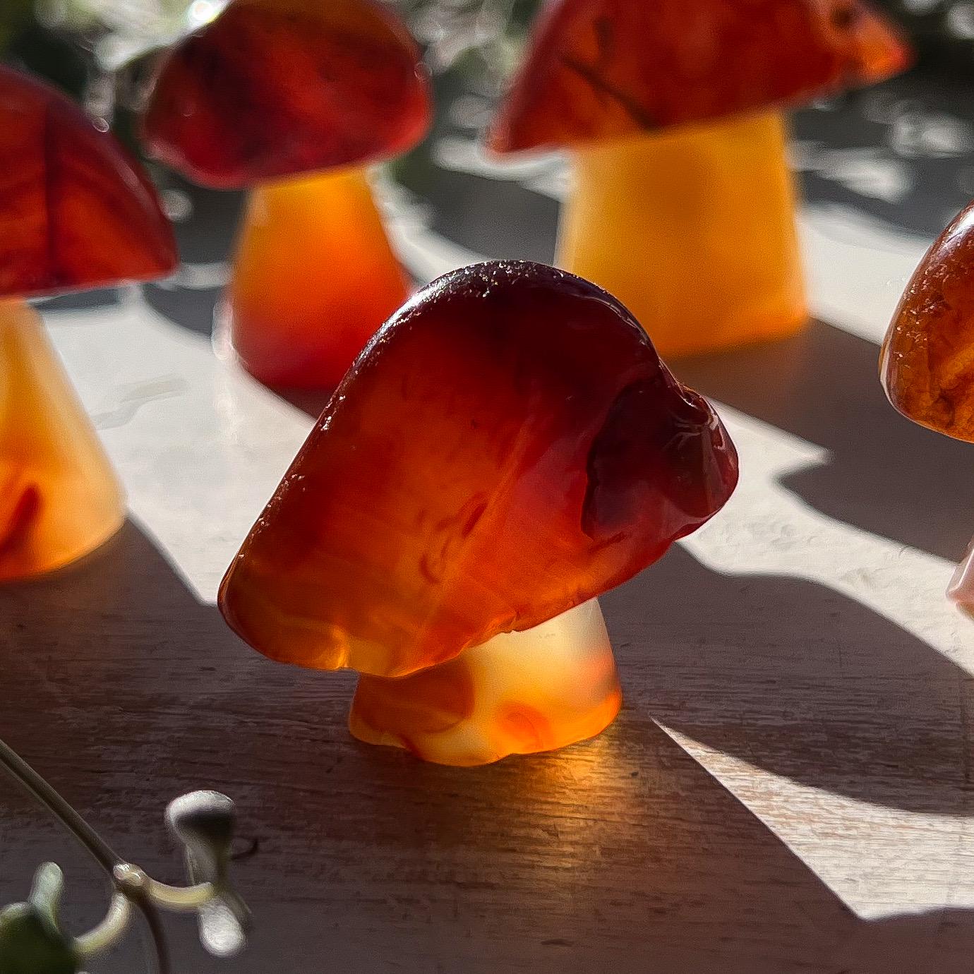 Carnelian Mushroom