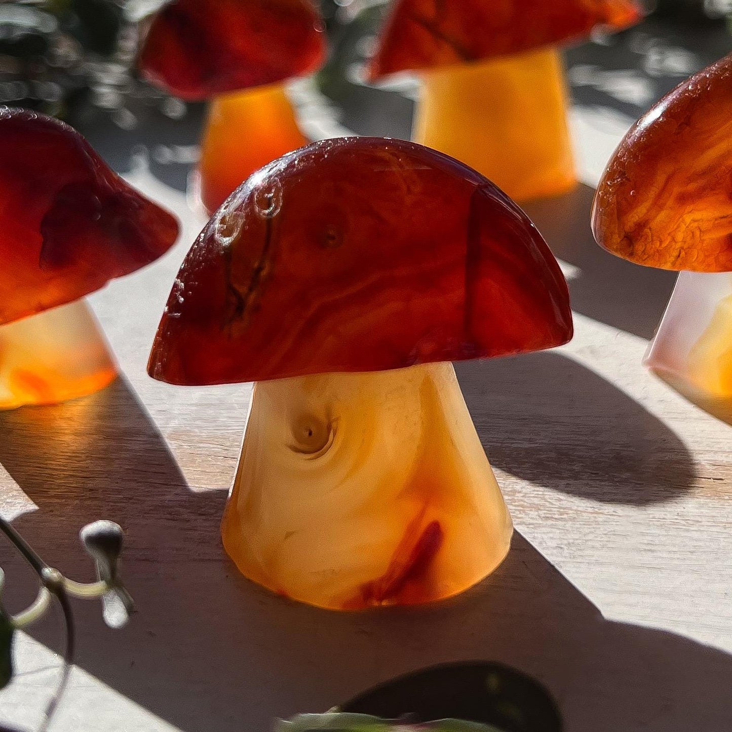 Carnelian Mushroom