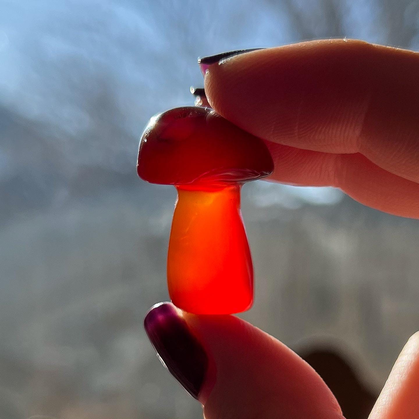 Carnelian Mushroom
