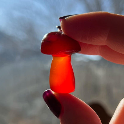 Carnelian Mushroom