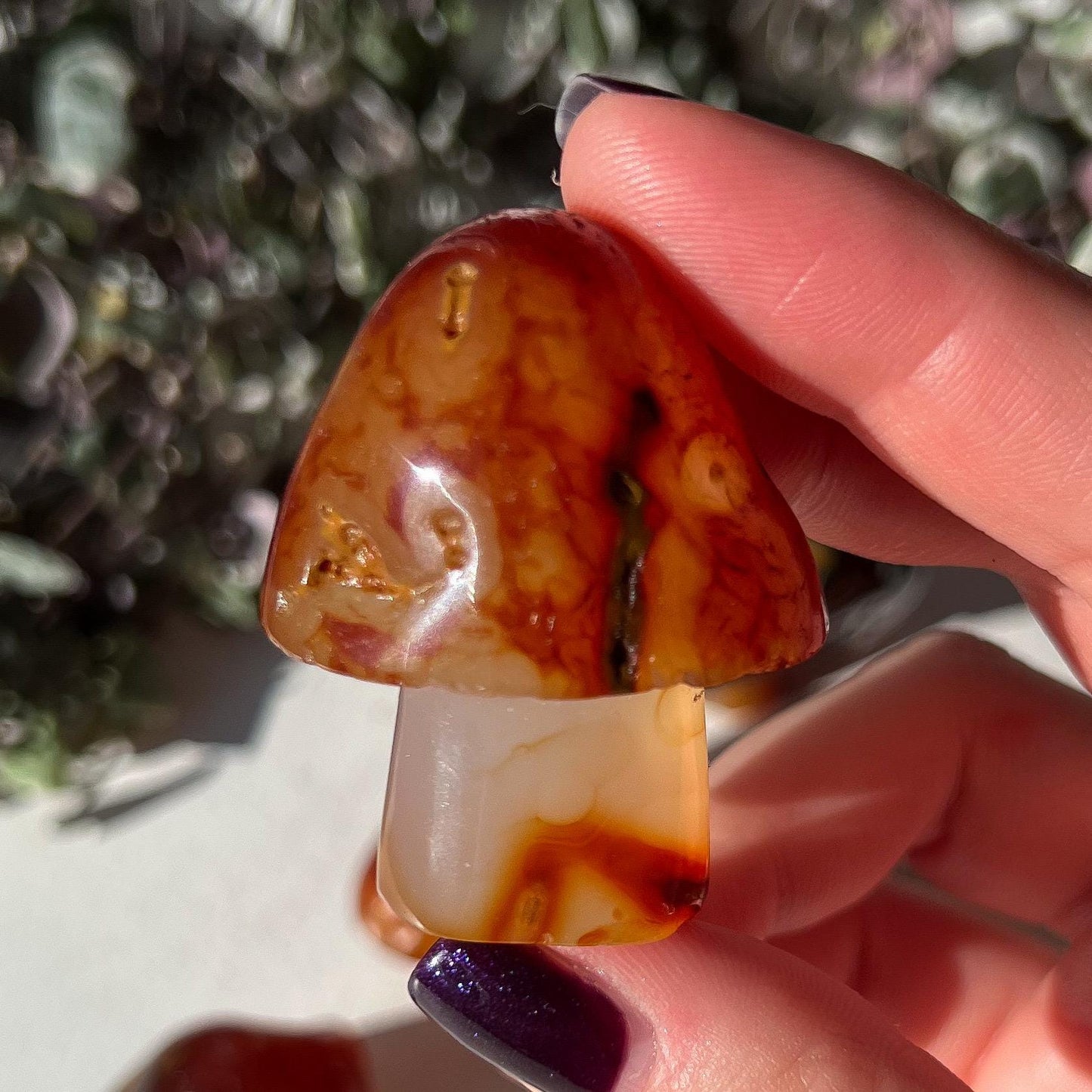 Carnelian Mushroom
