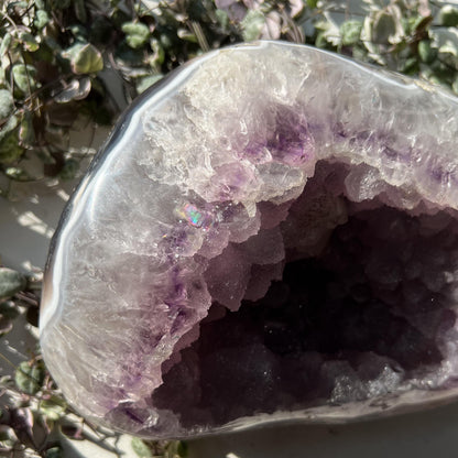 4lb Sugar Druzy Amethyst Calcite