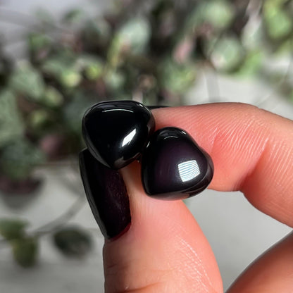 Rainbow Obsidian Heart Stud Earrings